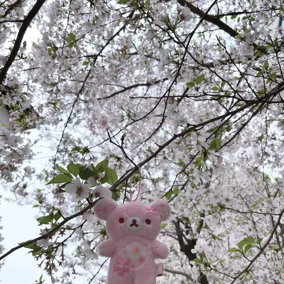 Cherry Blossom Bear Plush Toy, Soft Stuffed Animal for Kids, Cozy Sleeping Pillow, Perfect Gift for Children, Cute and Comfortable, Cute Teddy Bear, Huggable stuffed animal, Huggable Sleeping Companion, Soft Cuddly Gift, Soft