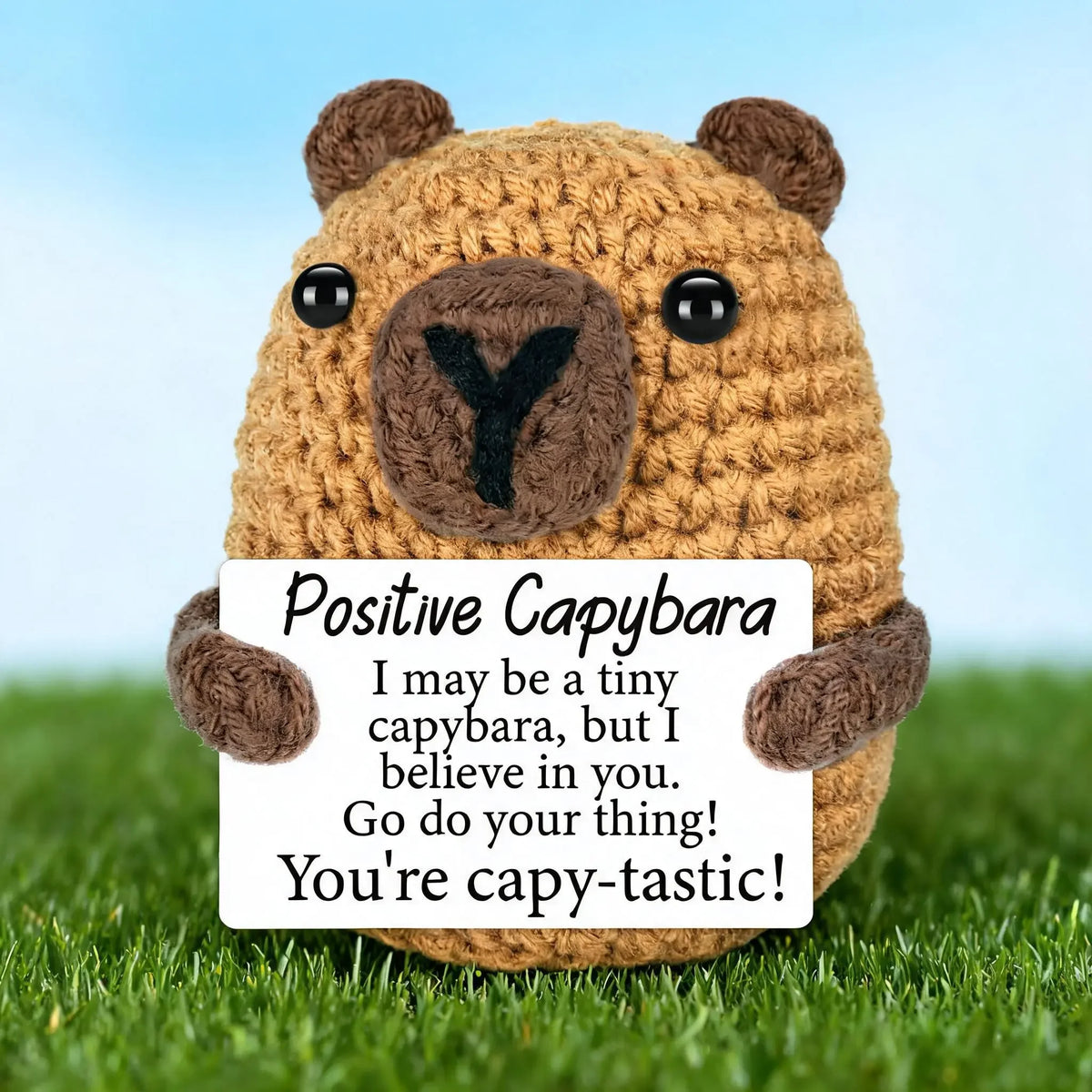 1PC A Cute and Uplifting Crocheted Capybara Gift, Complete with an Encouragement Card, a Supportive Crocheted Ornament, and a Handmade Plush Crocheted Doll. Perfect as a Birthday Gift, Desktop Decoration, or Christmas Gift Ex